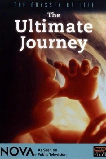 Movie poster for Odyssey of Life