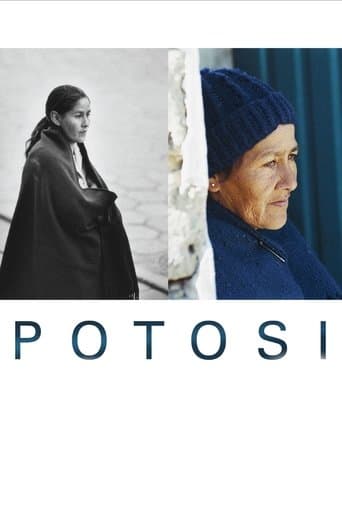 Movie poster for Potosi: The Journey