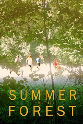 Movie poster for Summer in the Forest