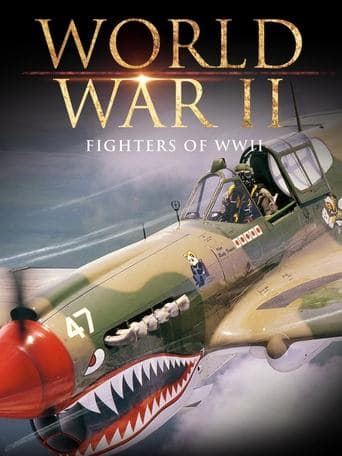 Movie poster for Fighters of WWII