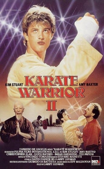 Movie poster for Karate Warrior 2