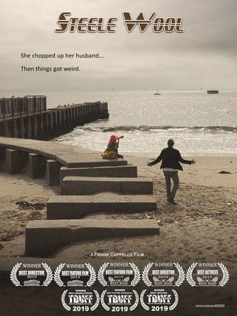 Movie poster for Steele Wool