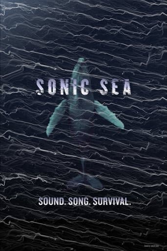 Movie poster for Sonic Sea