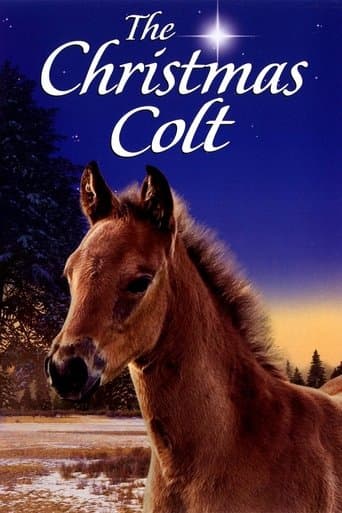 Movie poster for The Christmas Colt