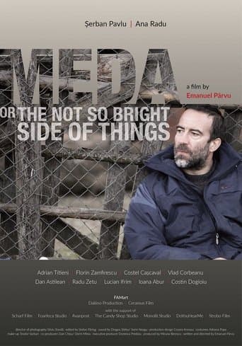 Movie poster for Meda or The Not So Bright Side of Things