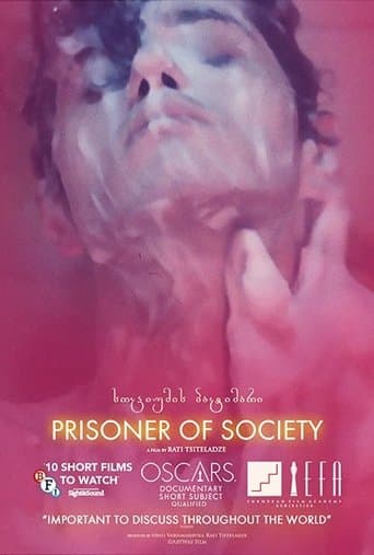 Movie poster for Prisoner of Society