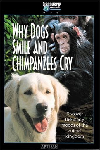 Movie poster for Why Dogs Smile and Chimpanzees Cry
