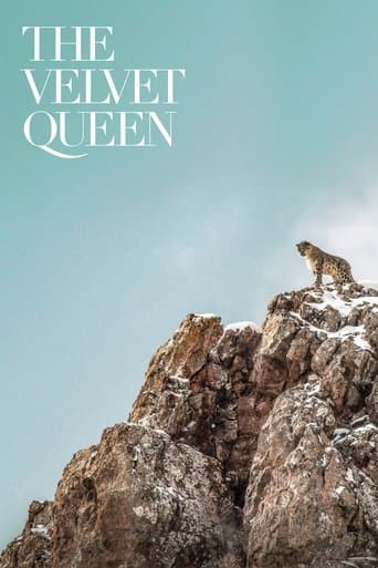 Movie poster for The Velvet Queen