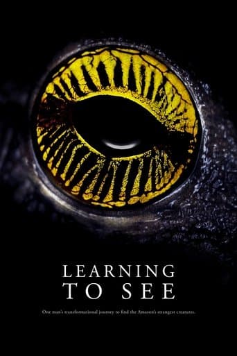 Movie poster for Learning To See