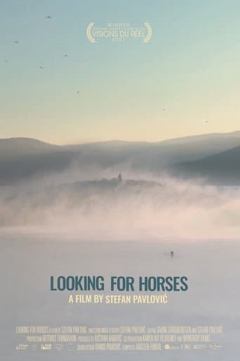 Movie poster for Looking for Horses