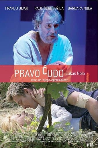 Movie poster for True Miracle