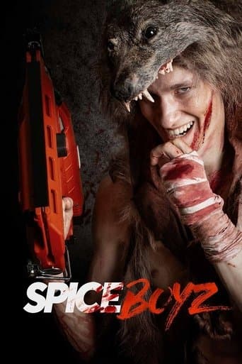 Movie poster for Spice Boyz