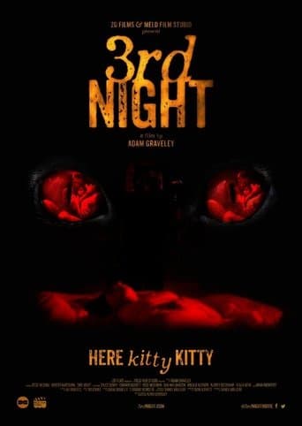 Movie poster for 3rd Night