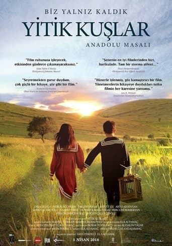 Movie poster for LOST BIRDS