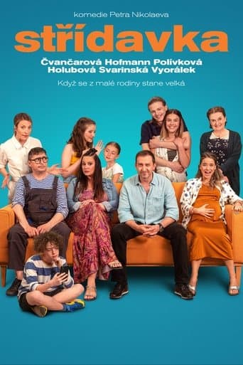 Movie poster for Blended