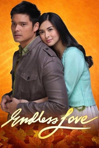 Movie poster for Endless Love