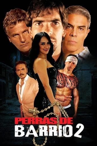 Movie poster for Perras de barrio 2