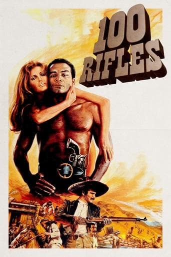 Movie poster for 100 Rifles