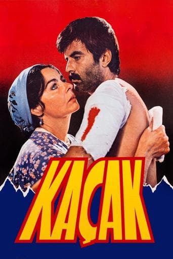 Movie poster for Kaçak