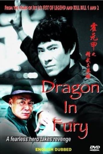 Movie poster for Dragon in Fury