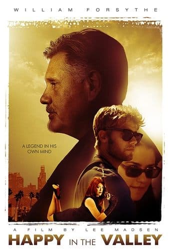 Movie poster for Happy in the Valley