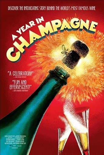 Movie poster for A Year in Champagne