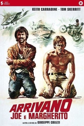 Movie poster for Run, Run, Joe!
