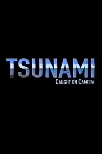 Movie poster for Tsunami: Caught on Camera