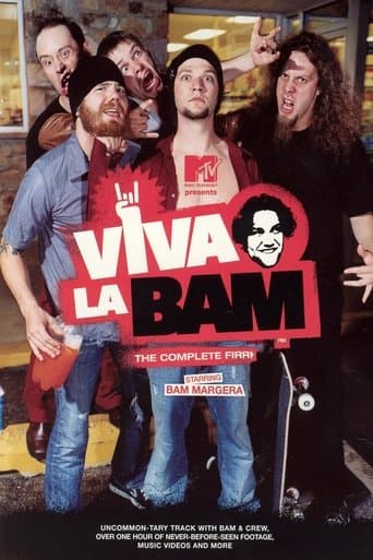 Movie poster for Viva La Bam