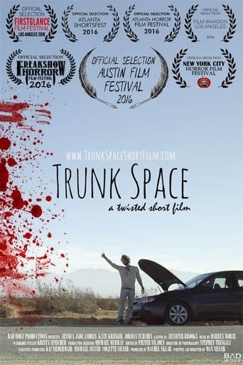 Movie poster for Trunk Space
