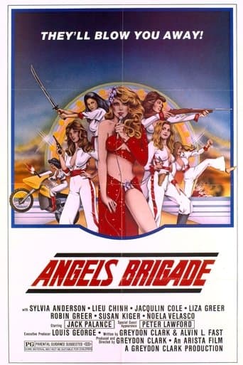 Movie poster for Angels' Brigade