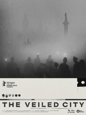 Movie poster for The Veiled City