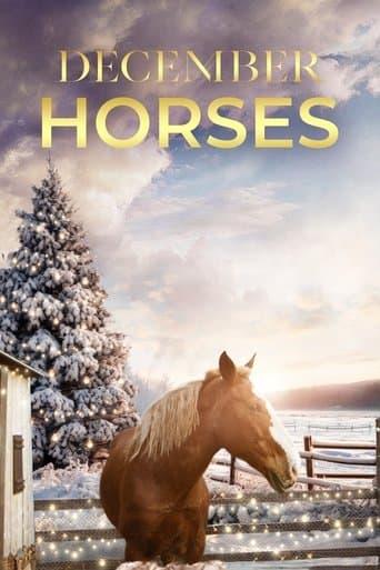 Movie poster for December Horses