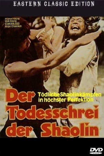 Movie poster for Mysterious Footworks of Kung Fu
