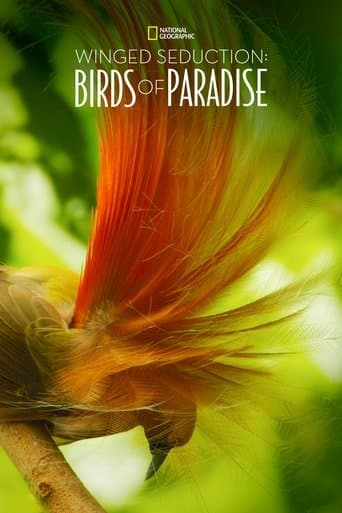 Movie poster for Winged Seduction: Birds of Paradise
