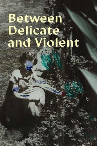 Movie poster for Between Delicate and Violent