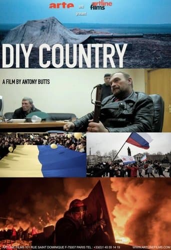 Movie poster for DIY Country
