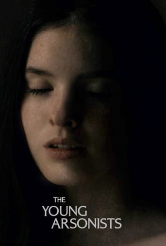 Movie poster for The Young Arsonists