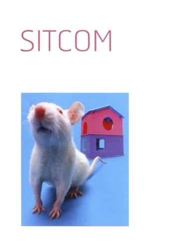 Movie poster for Sitcom