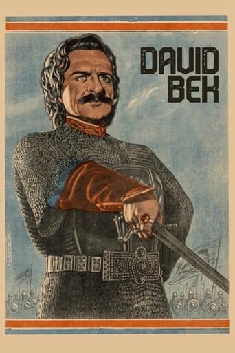 Movie poster for David Bek
