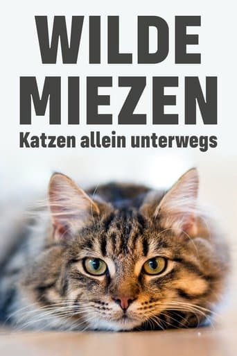Movie poster for Wilde Miezen - Katzen allein unterwegs