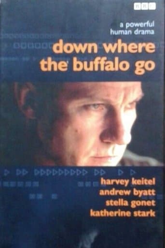 Movie poster for Down Where the Buffalo Go
