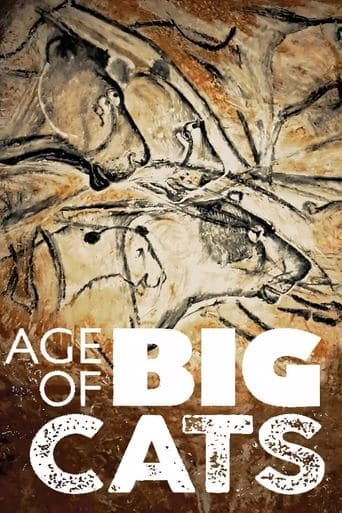 Movie poster for Age of Big Cats