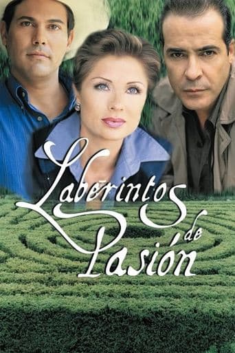 Movie poster for Labyrinth of Passion