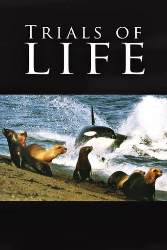 Movie poster for Trials of Life