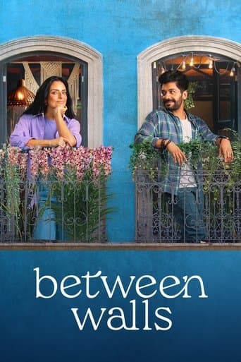 Movie poster for Between Walls