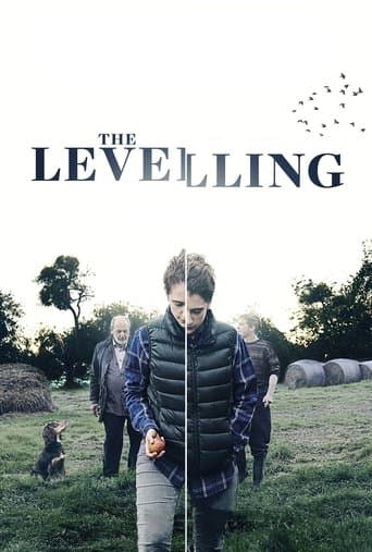 Movie poster for The Levelling