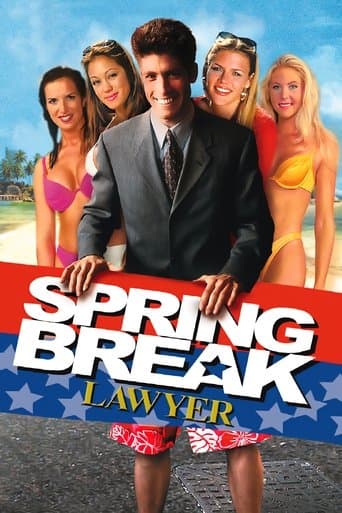Movie poster for Spring Break Lawyer