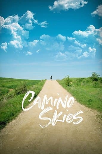 Movie poster for Camino Skies