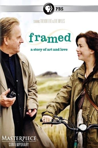 Movie poster for Framed